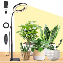 Load image into Gallery viewer, Niello 1Heads Plant Light for Indoor Plants, Desk LED Grow Lamp, Full Spectrum Grow Light, Height Adjustable, Automatic Timer with 3/9/12 Hours, Ideal for Growing Small Plants