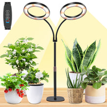 Load image into Gallery viewer, Niello 2Head Grow Lamp for Indoor Plants, LED Plant Lamp with Two Heads for Desk, Height Adjustable, Auto On/Off Timer with 3/9/12 Hours, 10 Levels Brightness, Ideal for Small Plants Growing