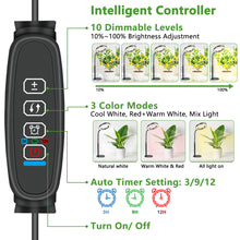 Load image into Gallery viewer, Niello 1Heads Plant Light for Indoor Plants, Desk LED Grow Lamp, Full Spectrum Grow Light, Height Adjustable, Automatic Timer with 3/9/12 Hours, Ideal for Growing Small Plants