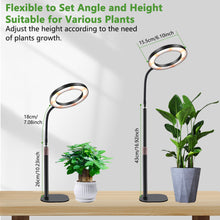 Load image into Gallery viewer, Niello 1Heads Plant Light for Indoor Plants, Desk LED Grow Lamp, Full Spectrum Grow Light, Height Adjustable, Automatic Timer with 3/9/12 Hours, Ideal for Growing Small Plants