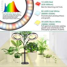 Load image into Gallery viewer, Niello 2Head Grow Lamp for Indoor Plants, LED Plant Lamp with Two Heads for Desk, Height Adjustable, Auto On/Off Timer with 3/9/12 Hours, 10 Levels Brightness, Ideal for Small Plants Growing