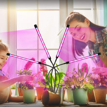 Load image into Gallery viewer, NIELLO 4-Heads Full Spectrum Plant Grow Light, Plant Light for Indoor Plants. Grow Lamp for Seed Starting