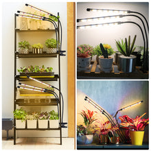 Load image into Gallery viewer, Niello 3head grow lamp LED, full spectrum plant light with timer, 3 color modes and 10 levels dimmable, growth lamp for indoor plants, houseplants