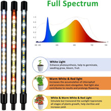 Load image into Gallery viewer, NIELLO 4-Heads Full Spectrum Plant Grow Light (Warm White)