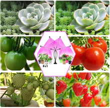 Load image into Gallery viewer, NIELLO 4-Heads Full Spectrum Plant Grow Light, Plant Light for Indoor Plants. Grow Lamp for Seed Starting