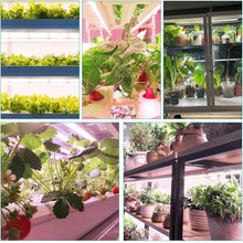 Load image into Gallery viewer, NIELLO 60cm T8 Full Spectrum Grow Light (4 packs), Niello plant light for indoor plants