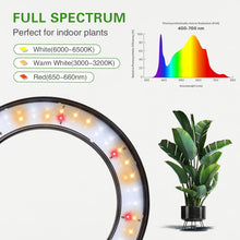 Load image into Gallery viewer, 1 Head Grow Lights for Indoor Plants with Stand, 3 Color Modes Plant Light with Timer 3/9/16H, 5 Dimmable Levels, 58cm~170cm Adjustable Height for Large Plants
