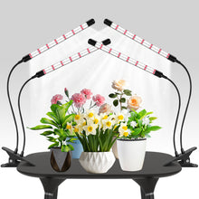 Load image into Gallery viewer, V2 2 Head LED Plant Lamp, Full Spectrum Plant Light with Auto on/off Timer 6/12/18H, 3 color modes and 5 levels dimmable, growth lamp for indoor plants, houseplants
