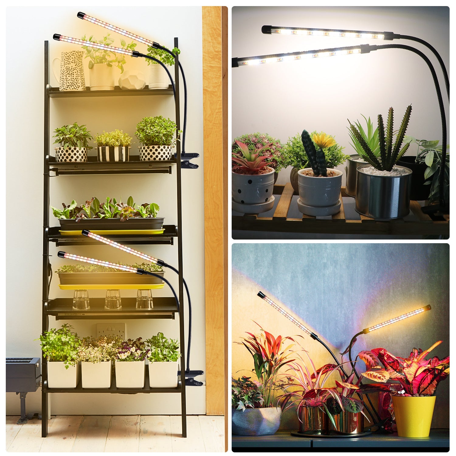 gardenline dual head plant grow light 2Pack 2 Head LED Plant Lamp, Full Spectrum Plant Light with Auto on/of –  Niello Shop