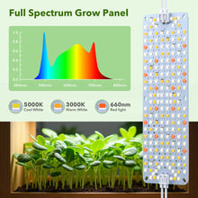 Load image into Gallery viewer, 3 Pack Full Spectrum Grow Lights, 24W Plant Grow Lights for Indoor Plants with Daisy Chain Function, Sunlike Spectrum, 384 LEDs and 4/8/12/16/20H Timer for Seed Starting
