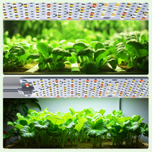 Load image into Gallery viewer, 3 Pack Full Spectrum Grow Lights, 24W Plant Grow Lights for Indoor Plants with Daisy Chain Function, Sunlike Spectrum, 384 LEDs and 4/8/12/16/20H Timer for Seed Starting
