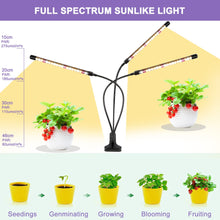 Load image into Gallery viewer, 2Pack 3head grow lamp LED, full spectrum plant light with timer, 3 color modes and 10 levels dimmable, growth lamp for indoor plants, houseplants

