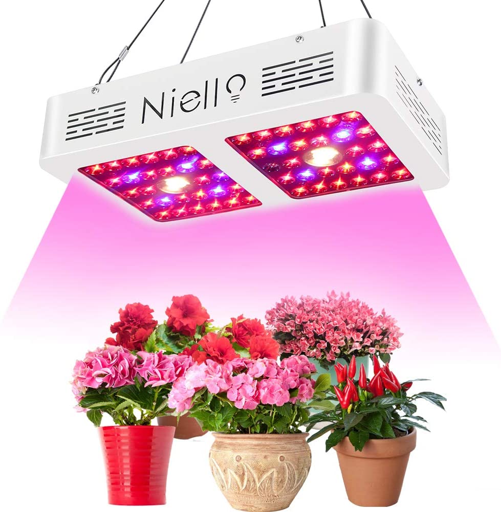 NIELLO S600 CREE COB Plant Grow Light